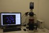 LUCIA FISH + mikroskop Nikon 80i: zařízení je využíváno k vyhodnocení a dokumentaci nálezů získaných metodou FISH u pacientů s hematologickými malignitami
