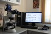 LUCIA Karyo + mikroskop Nikon 50i: pracovní stanice sloužící ke karyotypování maligních linií a dokumentaci nálezů