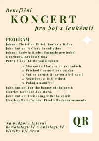 Benefiční varhanní koncert (Brno, 8. 6. 2025)